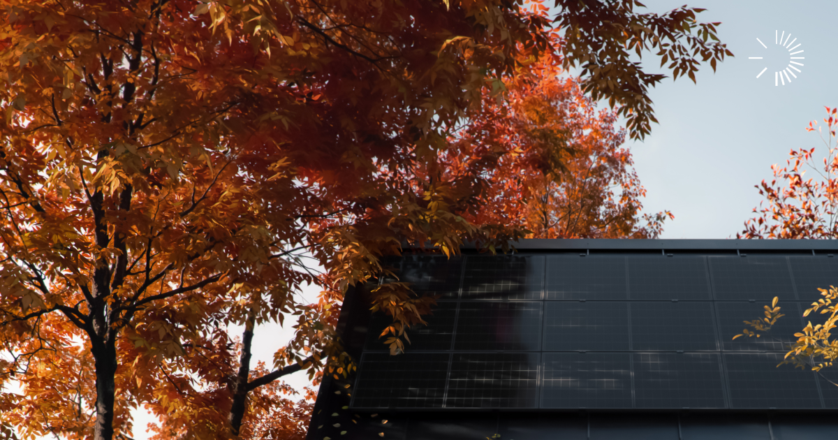 Solar panels on the roof with foliage leaves